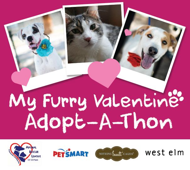 My Furry Valentine: Adopt-a-thon