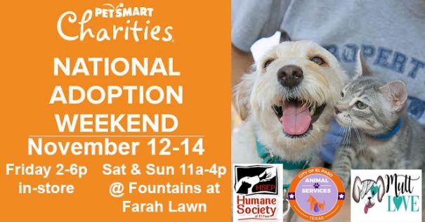 Petsmart fountains clearance
