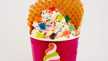 Menchie's Frozen Yogurt