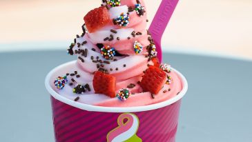 Menchie's Frozen Yogurt